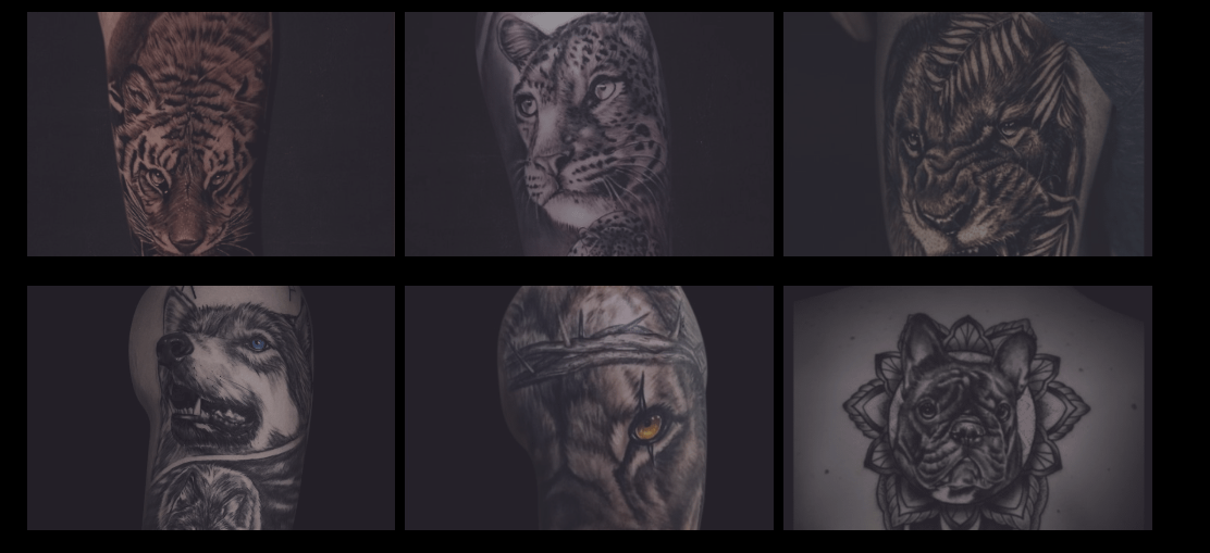 Animal tattoo portfolio